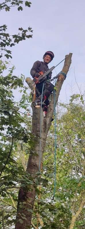 Katteker Baumpflege im Einsatz