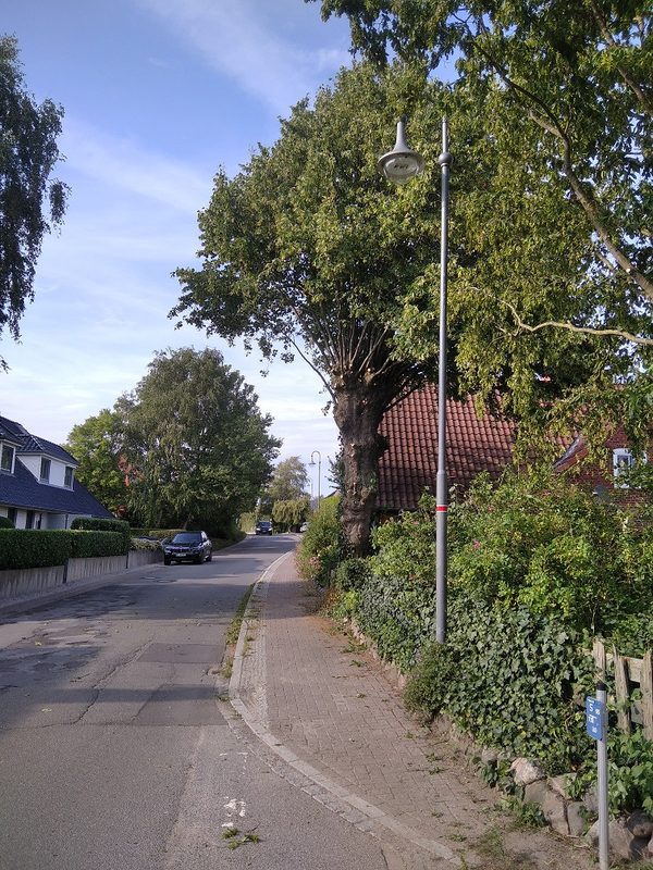 Lichtraumprofilschnitt Linde